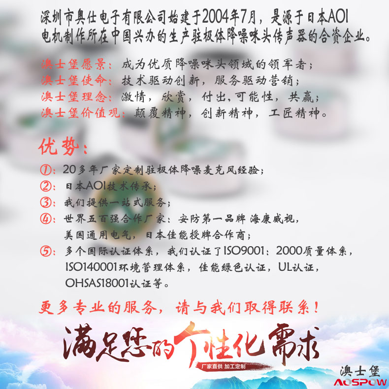 澳士堡降噪咪頭公司簡(jiǎn)介