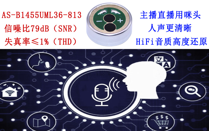 咪頭麥克風(fēng)性能對(duì)于噪聲消除算法的重要性